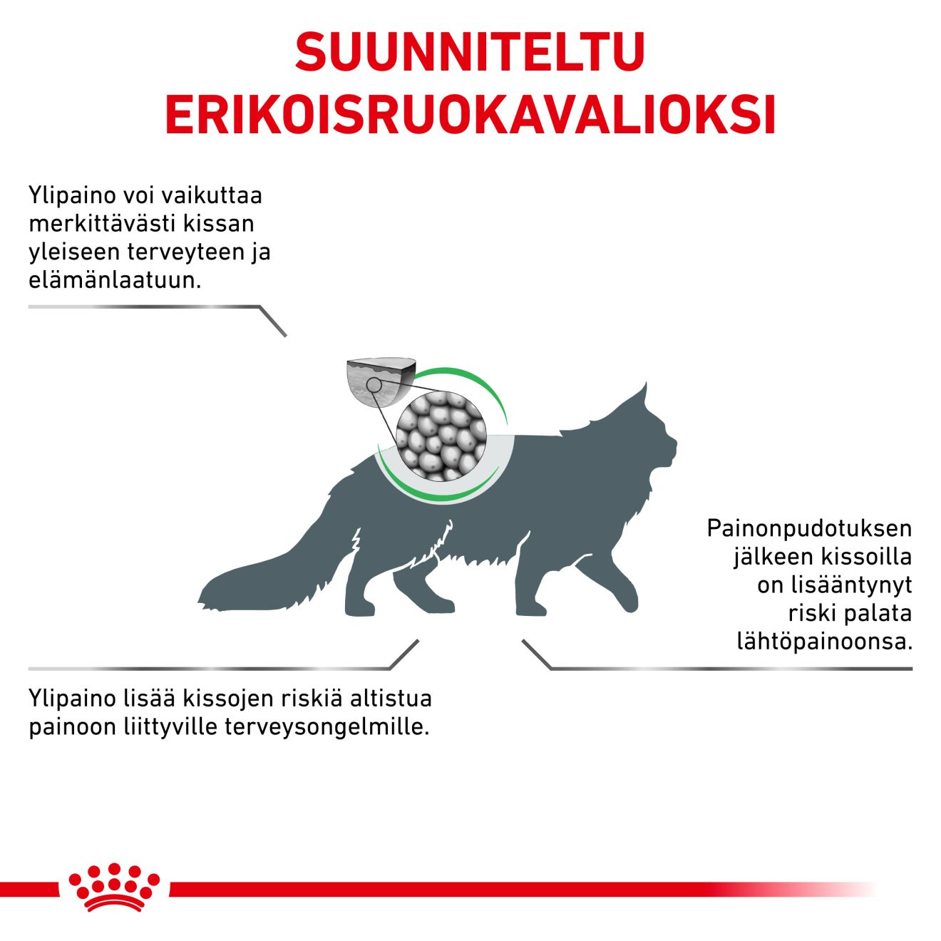 Royal Canin Veterinary Diets Weight Management Satiety kissan kuivaruoka 1,5 kg