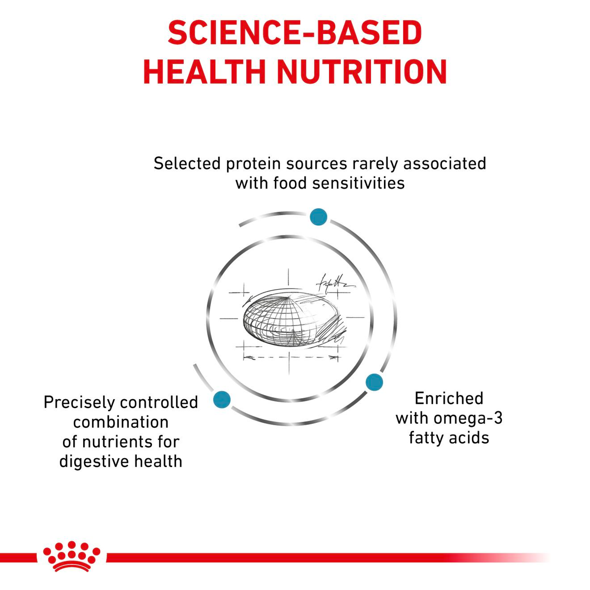 Royal Canin Veterinary Diets Derma Sensitivity Control kissan kuivaruoka