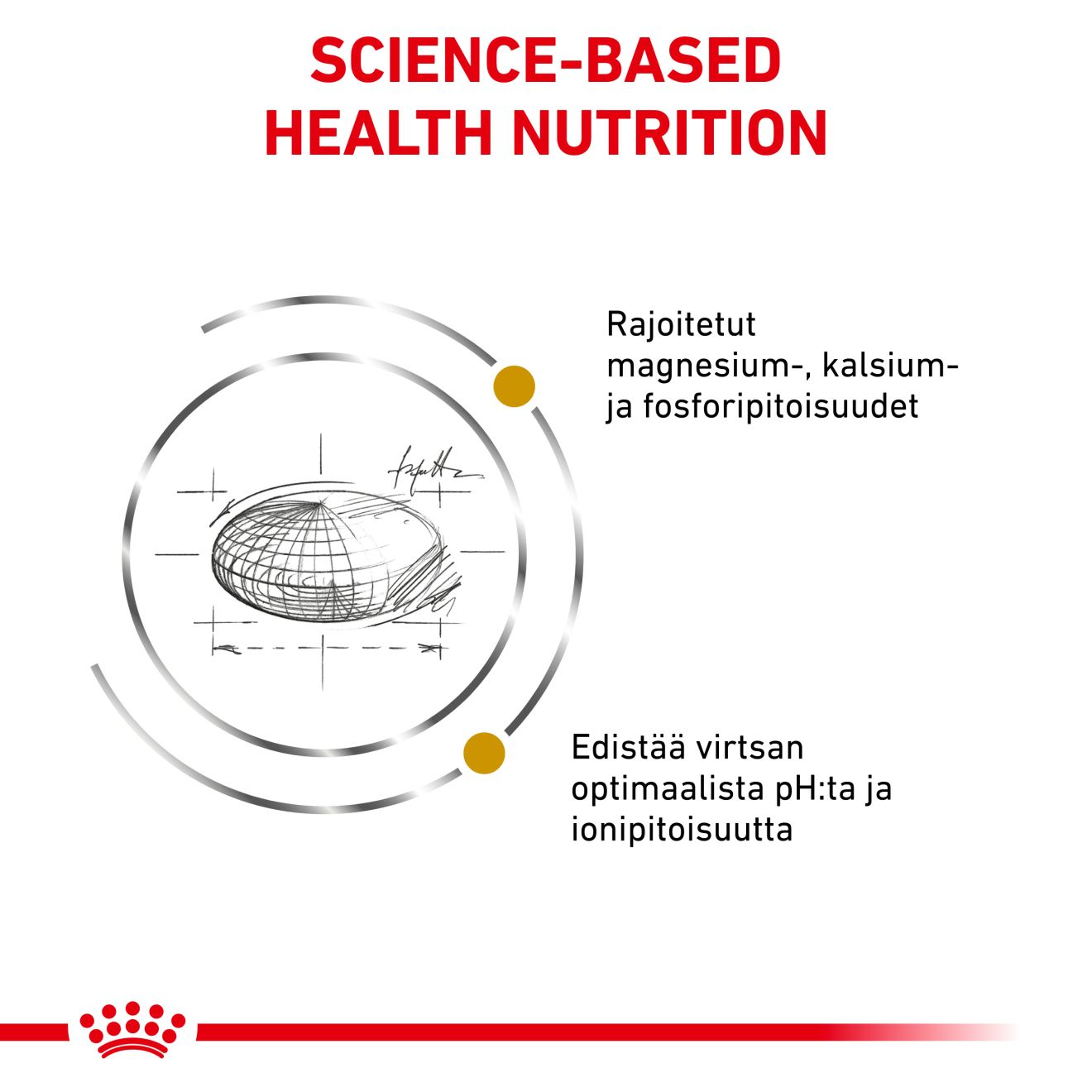 Royal Canin Veterinary Diets Urinary S/O kissan kuivaruoka 3,5 kg