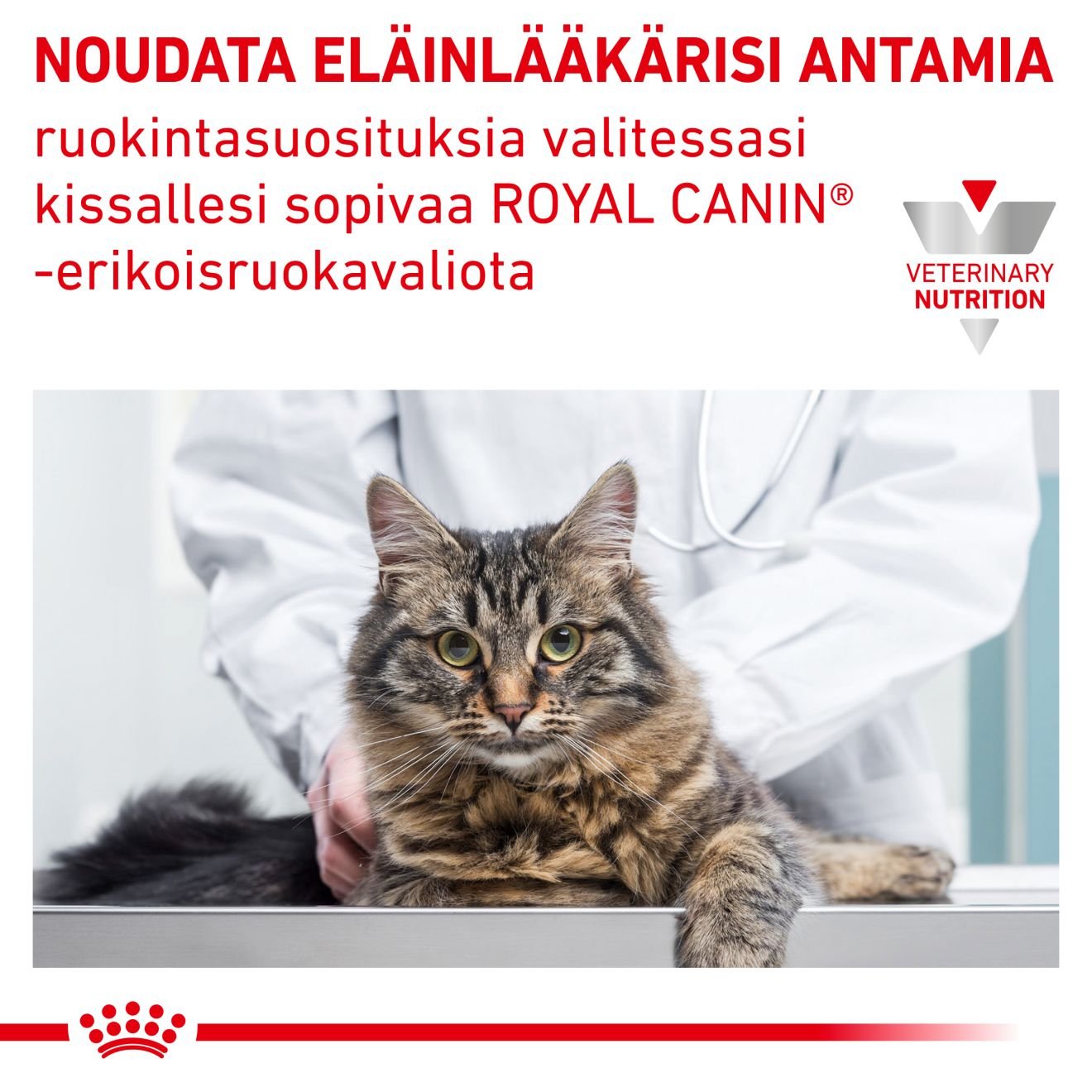 Royal Canin Veterinary Diets Urinary S/O kissan kuivaruoka 3,5 kg