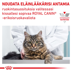 Royal Canin Veterinary Diets Urinary S/O kissan kuivaruoka 3,5 kg