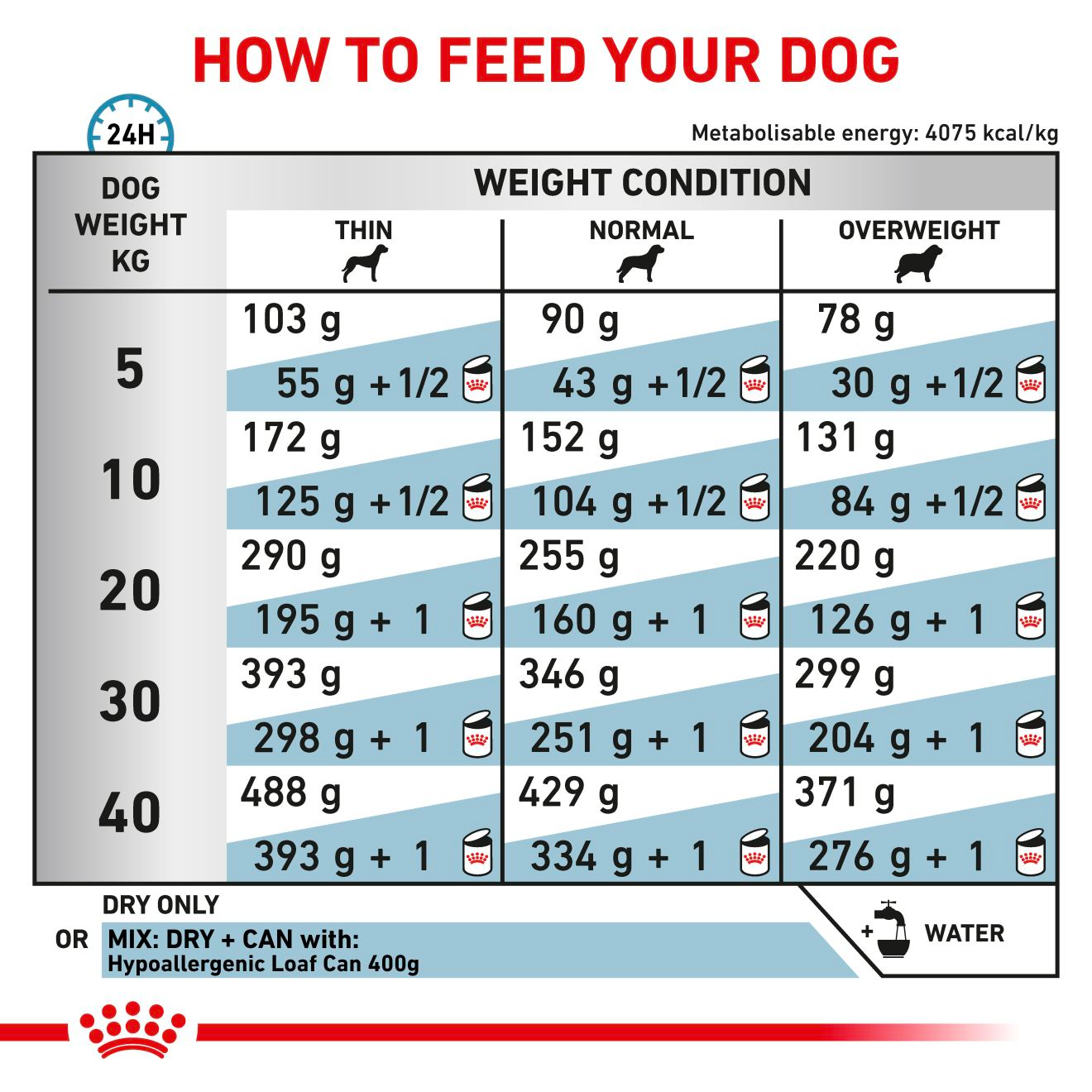 Royal Canin Veterinary Diets Derma Hypoallergenic koiran kuivaruoka 2 kg