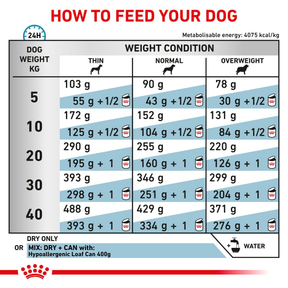 Royal Canin Veterinary Diets Derma Hypoallergenic koiran kuivaruoka 2 kg