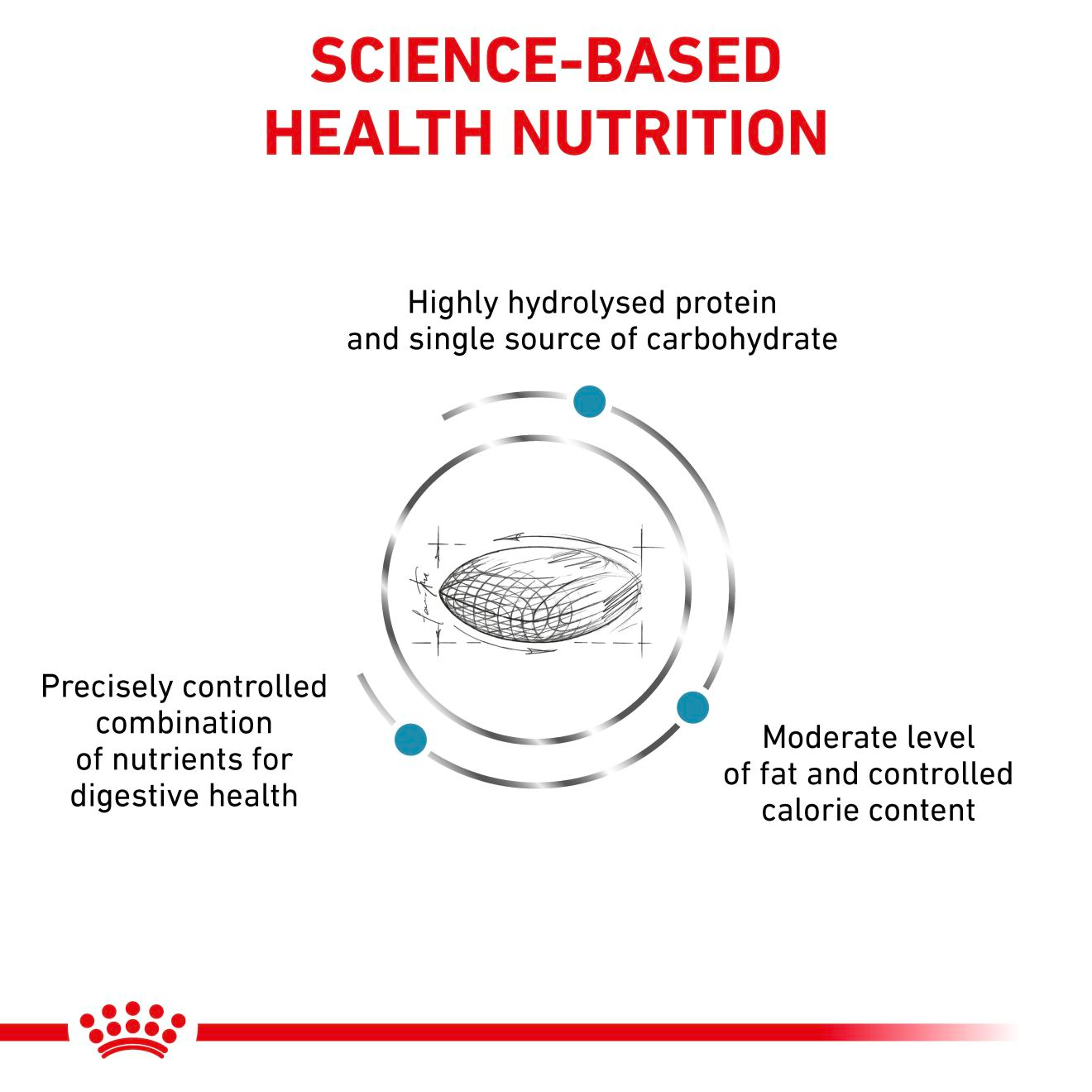 Royal Canin Veterinary Diets Derma Hypoallergenic Moderate Calorie koiran kuivaruoka 14 kg