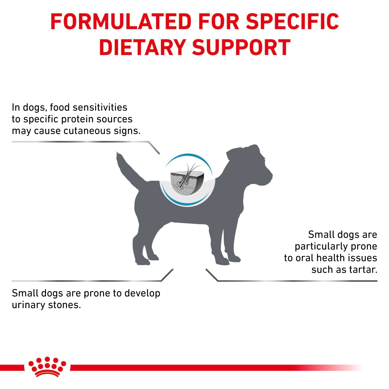 Royal Canin Veterinary Diets Derma Hypoallergenic Small Dogs koiran kuivaruoka 1 kg