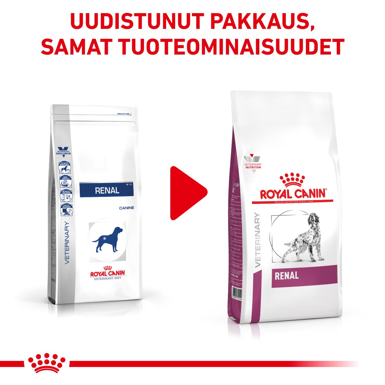 Royal Canin Veterinary Diets Renal koiran kuivaruoka 2 kg