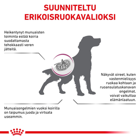 Royal Canin Veterinary Diets Renal koiran kuivaruoka 7 kg