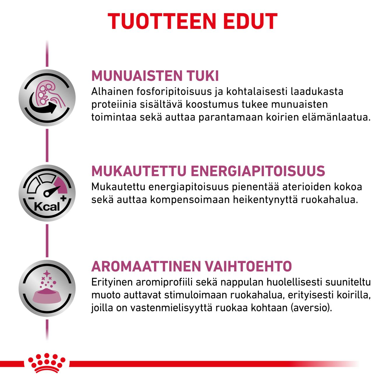 Royal Canin Veterinary Diets Renal koiran kuivaruoka 2 kg