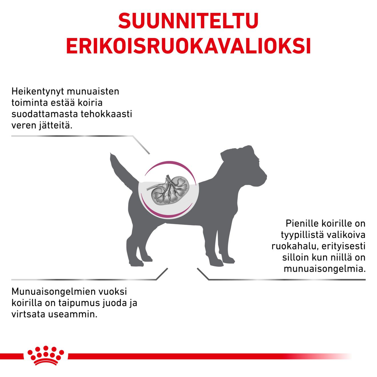 Royal Canin Veterinary Diets Vital Renal Small Dog koiran kuivaruoka 3,5 kg