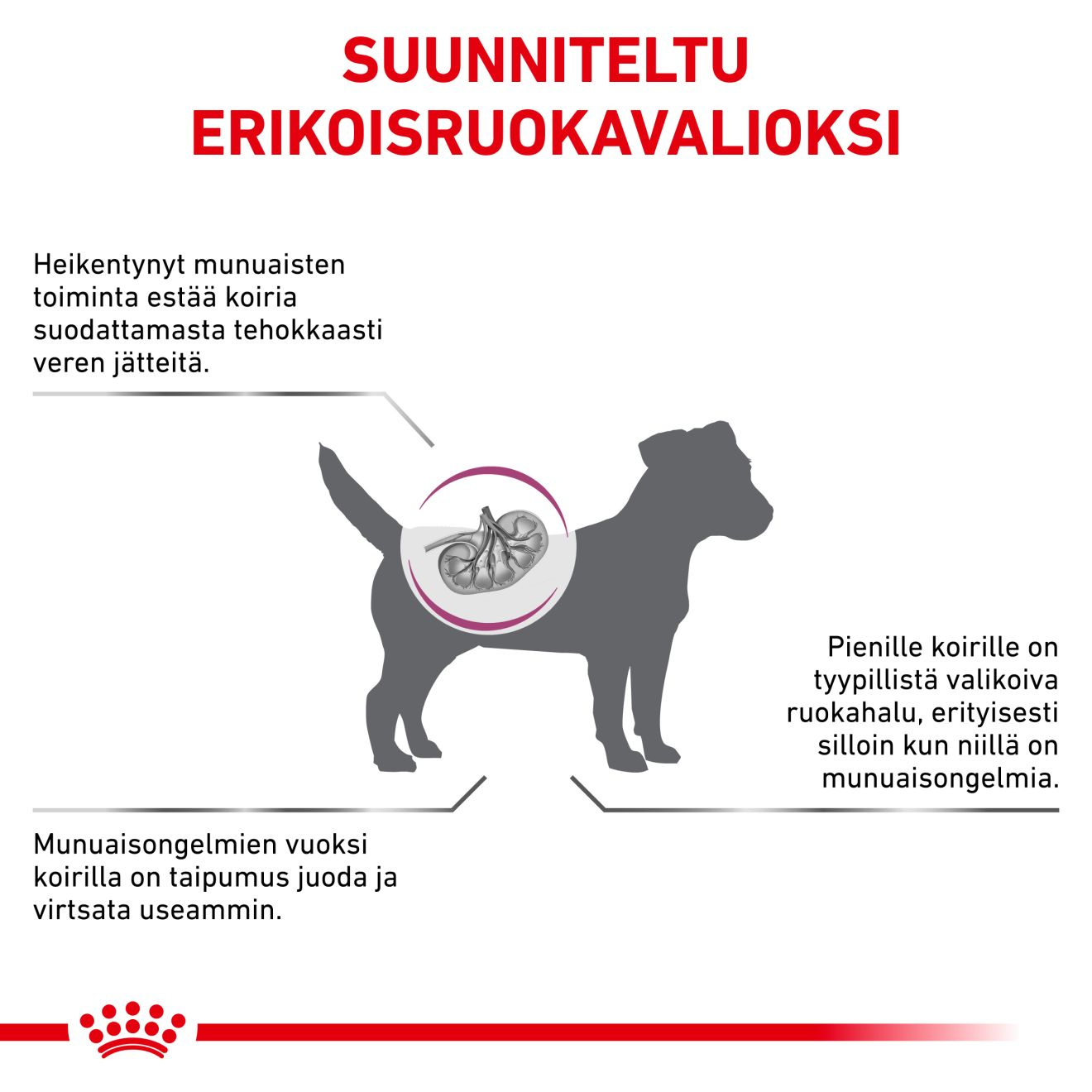Royal Canin Veterinary Diets Vital Renal Small Dog koiran kuivaruoka 3,5 kg