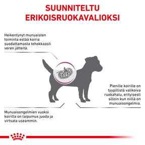 Royal Canin Veterinary Diets Vital Renal Small Dog koiran kuivaruoka 3,5 kg