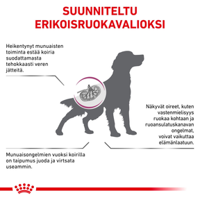 Royal Canin Veterinary Diets Renal Special koiran kuivaruoka 10 kg PÄIVÄYSTARJOUS