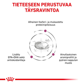Royal Canin Veterinary Diets Renal Special koiran kuivaruoka 10 kg PÄIVÄYSTARJOUS