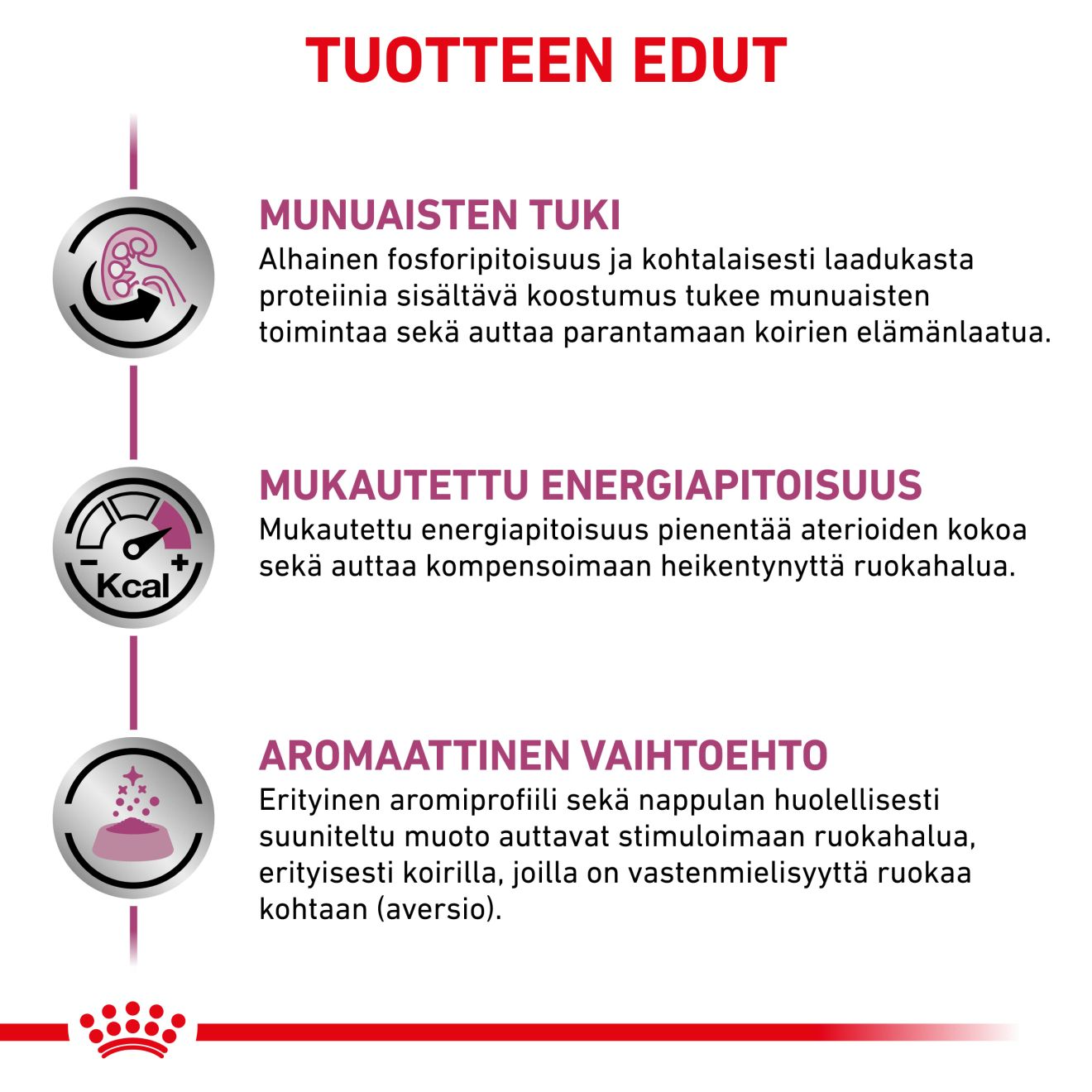 Royal Canin Veterinary Diets Renal Special koiran kuivaruoka 10 kg PÄIVÄYSTARJOUS