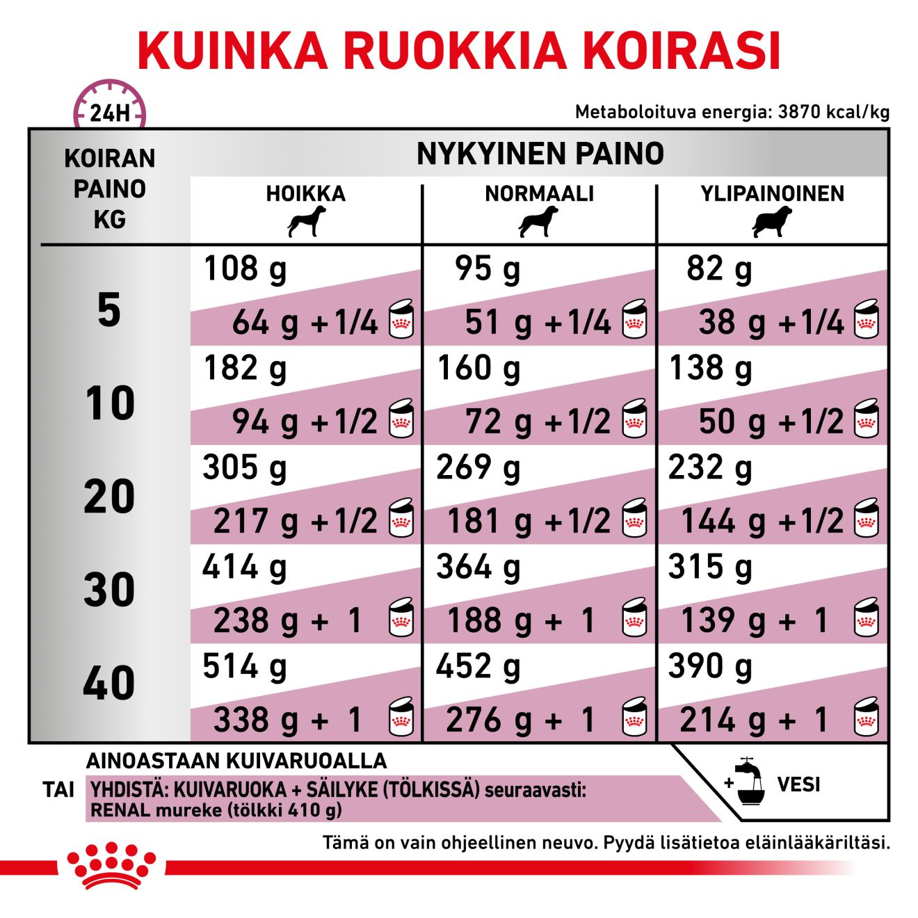 Royal Canin Veterinary Diets Renal Special koiran kuivaruoka 10 kg PÄIVÄYSTARJOUS
