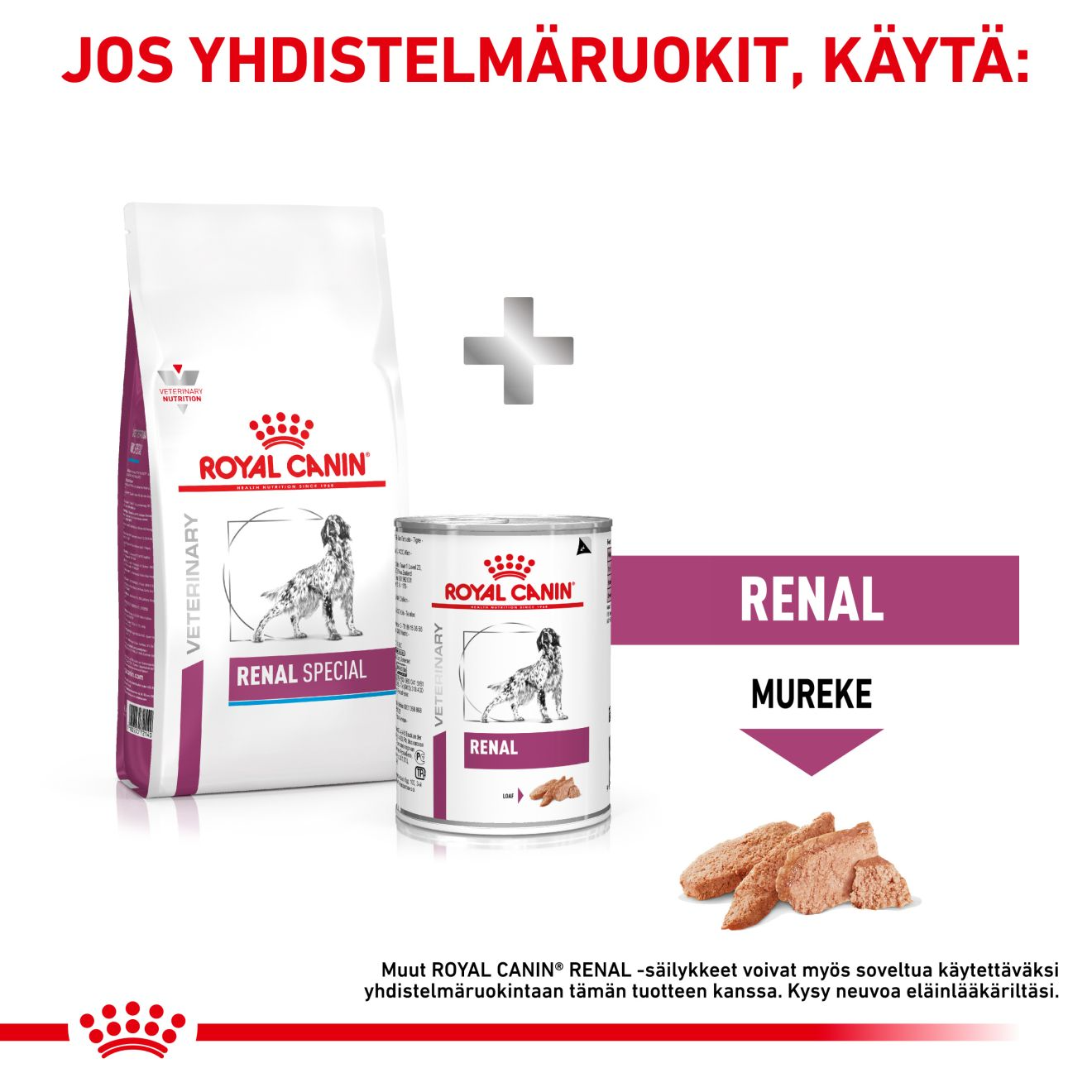 Royal Canin Veterinary Diets Renal Special koiran kuivaruoka 10 kg PÄIVÄYSTARJOUS