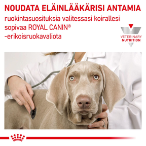 Royal Canin Veterinary Diets Renal Special koiran kuivaruoka 10 kg PÄIVÄYSTARJOUS