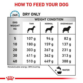 Royal Canin Veterinary Diets Derma Skin Care koiran kuivaruoka 2 kg