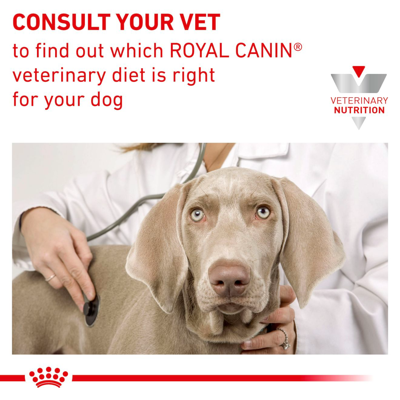 Royal Canin Veterinary Diets Derma Skin Care koiran kuivaruoka 2 kg