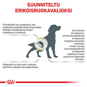 Royal Canin Veterinary Diets Urinary S/O Moderate Calorie koiran kuivaruoka 12 kg