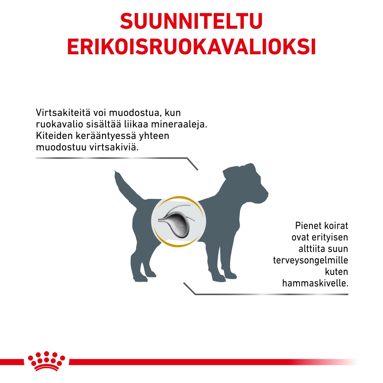 Royal Canin Veterinary Diets Urinary S/O Small Dogs koiran kuivaruoka 4 kg