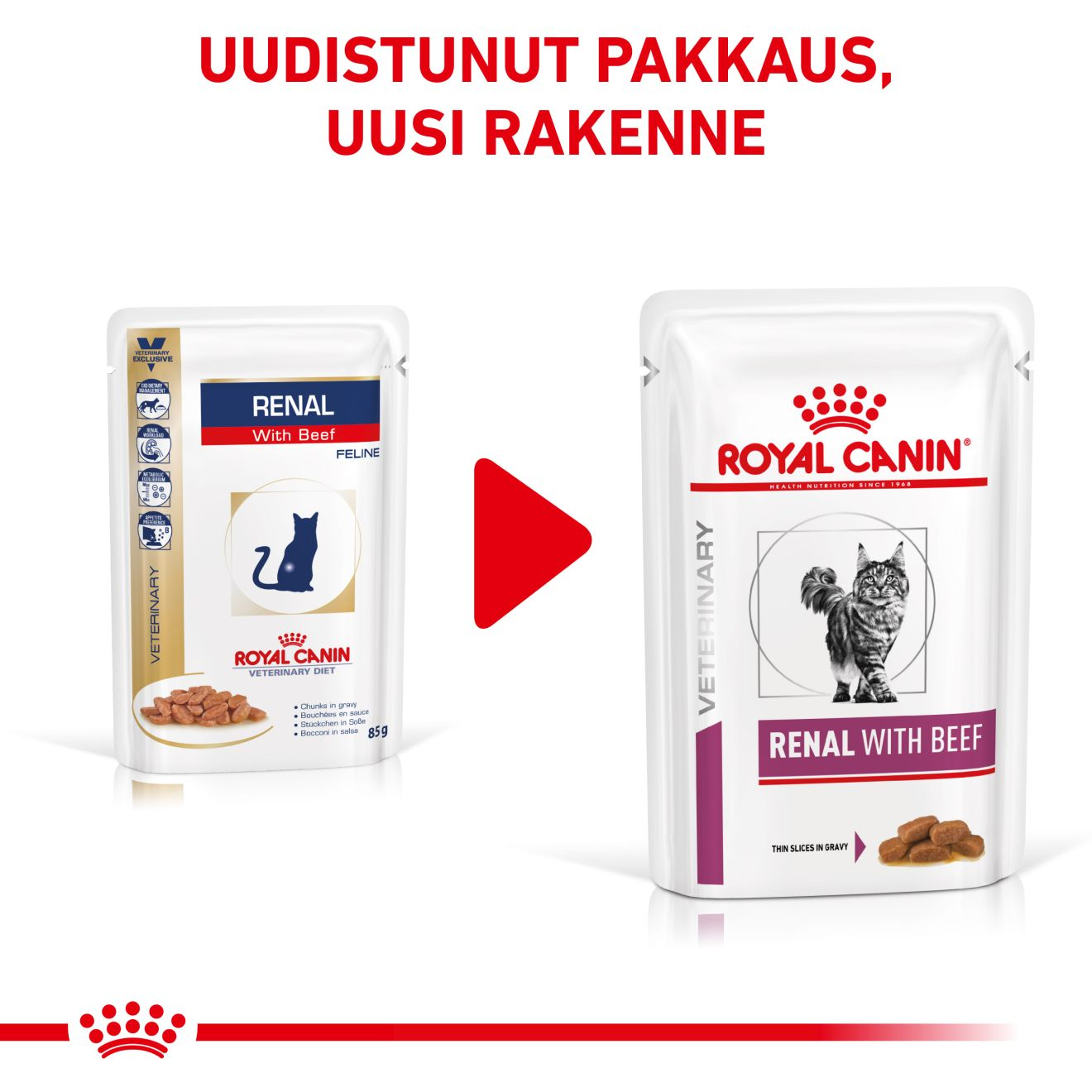 Royal Canin Veterinary Diets Renal Beef kissan märkäruoka 12 x 85 g
