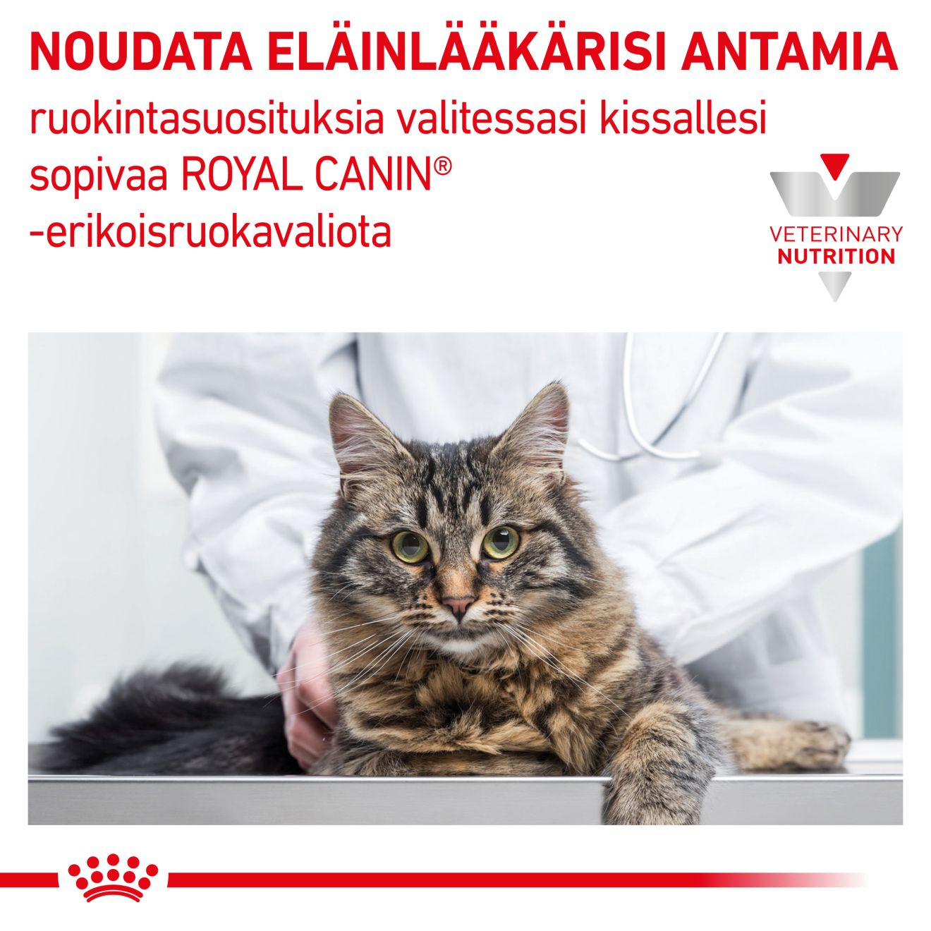 Royal Canin Veterinary Diets Renal Chicken kissan märkäruoka 12 x 85 g