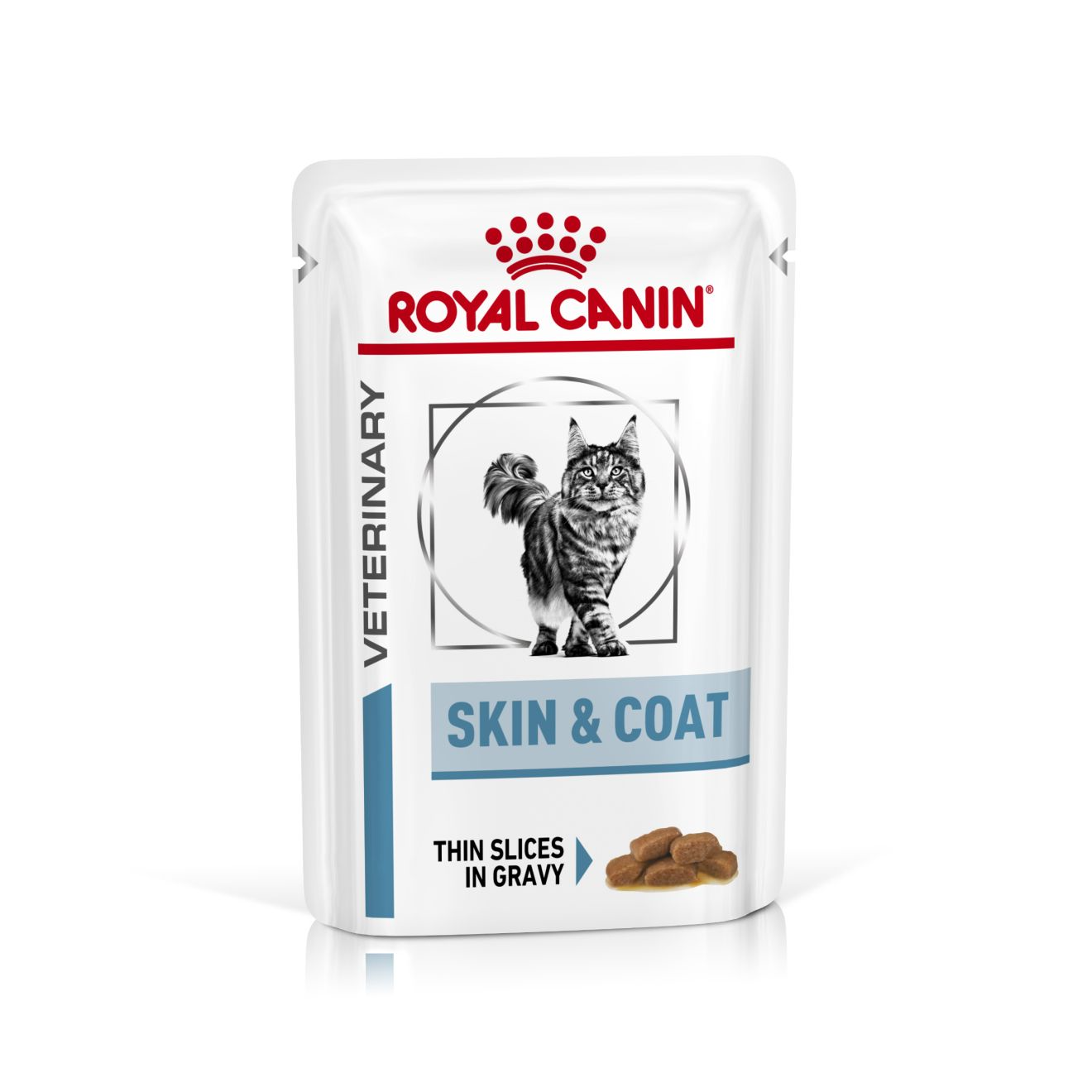 Royal Canin Veterinary Diets Derma Skin & Coat annospussi kissan märkäruoka 12 x 85 g