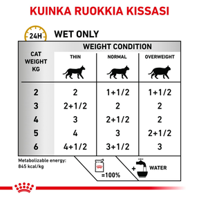 Royal Canin Veterinary Diets Urinary S/O Loaf annospussi kissan märkäruoka 12 x 85 g