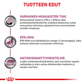 Royal Canin Veterinary Diets Vital Early Renal annospussi koiran märkäruoka 12 x 100 g