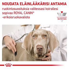 Royal Canin Veterinary Diets Gastrointestinal Loaf säilykepurkki koiran märkäruoka 200 g MAISTELUPAKKAUS