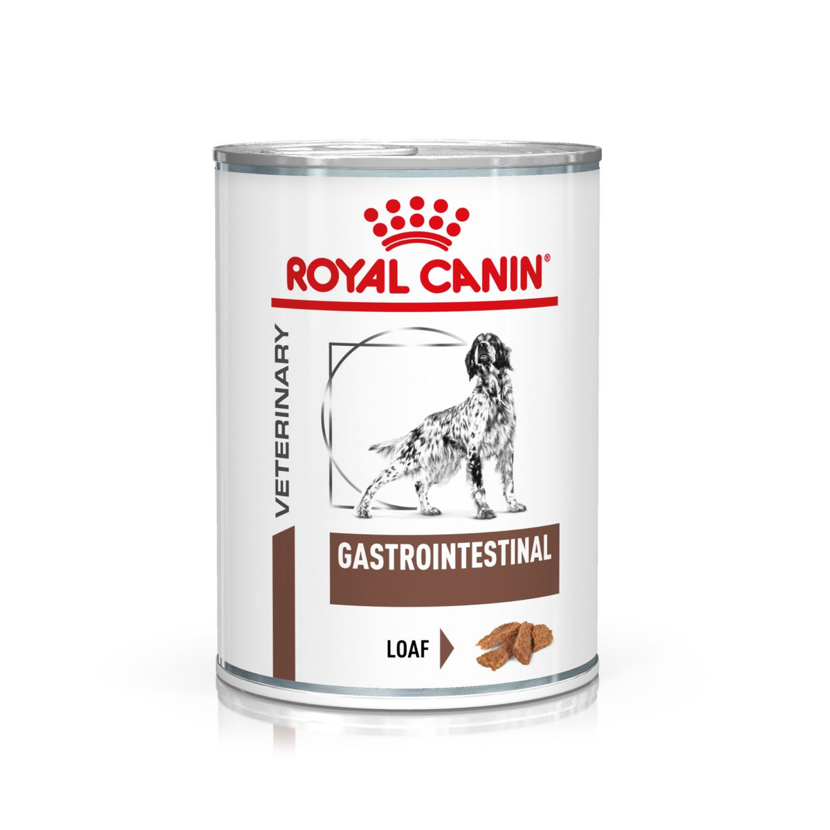 Royal Canin Veterinary Diets Gastrointestinal Loaf säilykepurkki koiran märkäruoka 200 g MAISTELUPAKKAUS