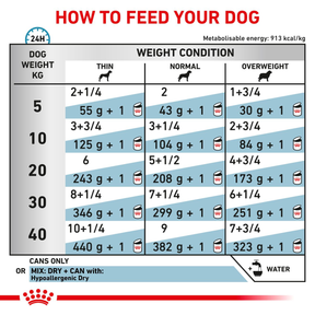 Royal Canin Veterinary Diets Derma Hypoallergenic Loaf säilykepurkki koiran märkäruoka 400 g MAISTELUPAKKAUS