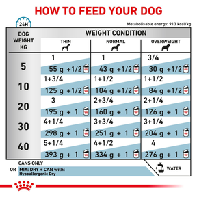 Royal Canin Veterinary Diets Derma Hypoallergenic Loaf säilykepurkki koiran märkäruoka 200 g MAISTELUPAKKAUS