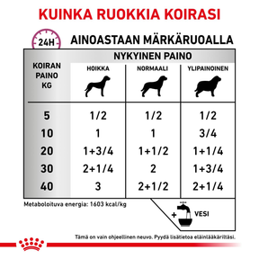 Royal Canin Veterinary Diets Renal Special säilykepurkki koiran märkäruoka 410 g MAISTELUPAKKAUS