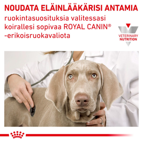 Royal Canin Veterinary Diets Urinary S/O CIG annospussi koiran märkäruoka 12 x 100 g