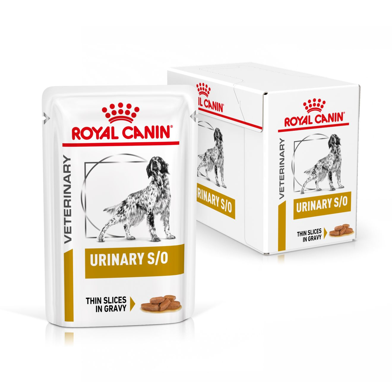 Royal Canin Veterinary Diets Urinary S/O CIG annospussi koiran märkäruoka 12 x 100 g