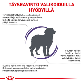Royal Canin Veterinary Diets Health Management Adult Large Dog koiran kuivaruoka 13 kg