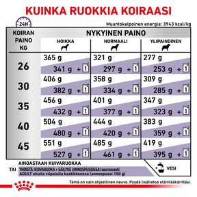 Royal Canin Veterinary Diets Health Management Adult Large Dog koiran kuivaruoka 13 kg
