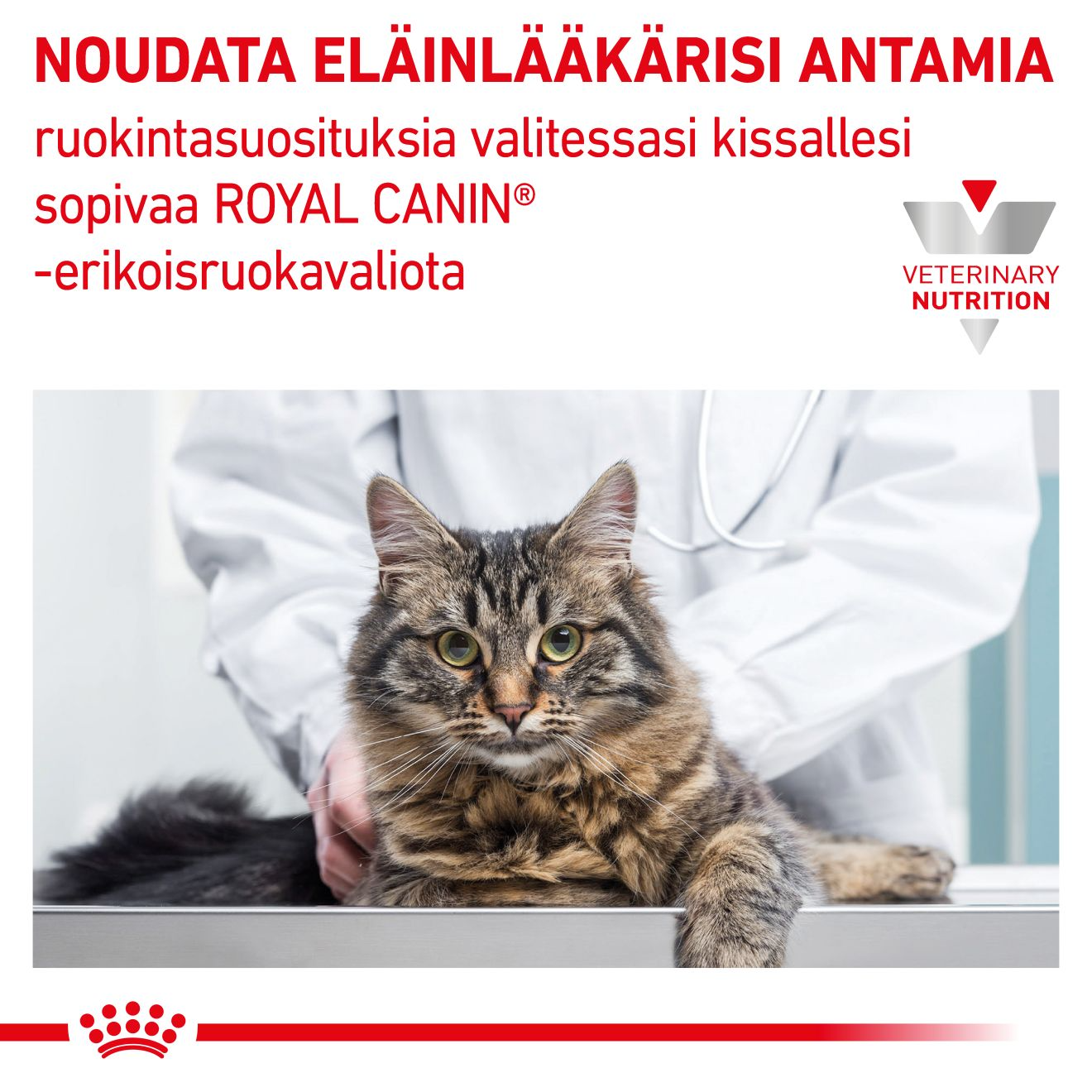 Royal Canin Veterinary Diets Gastrointestinal Kitten Mousse säilykepurkki kissan märkäruoka 195 g MAISTELUPAKKAUS