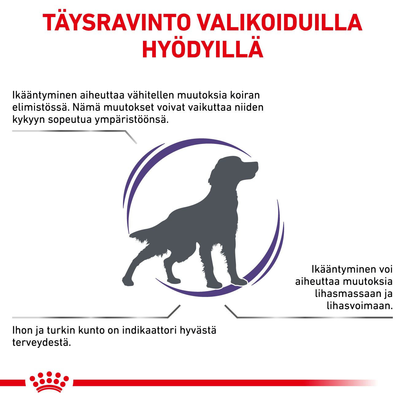 Royal Canin Veterinary Diets Health Management Mature Consult koiran kuivaruoka 10 kg