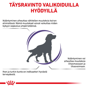 Royal Canin Veterinary Diets Health Management Mature Consult koiran kuivaruoka 10 kg