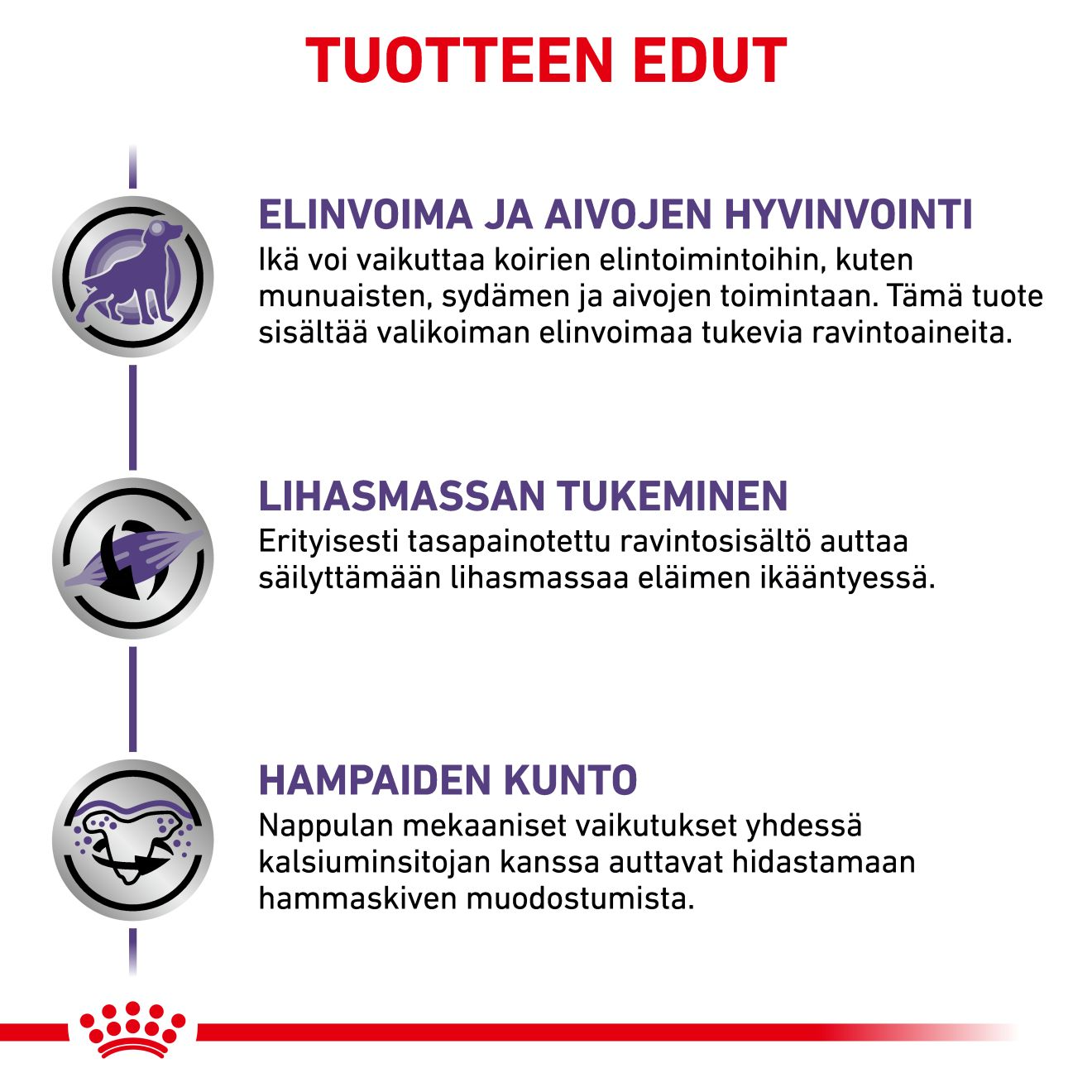 Royal Canin Veterinary Diets Health Management Mature Consult small dog koiran kuivaruoka 3,5 kg