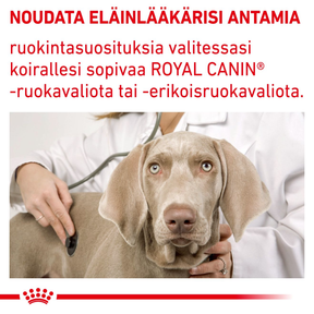 Royal Canin Veterinary Diets Health Management Mature Consult small dog koiran kuivaruoka 3,5 kg