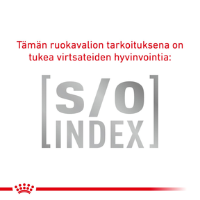 Royal Canin Veterinary Diets Health Neutered Maintenance kissan märkäruoka 12 x 85 g