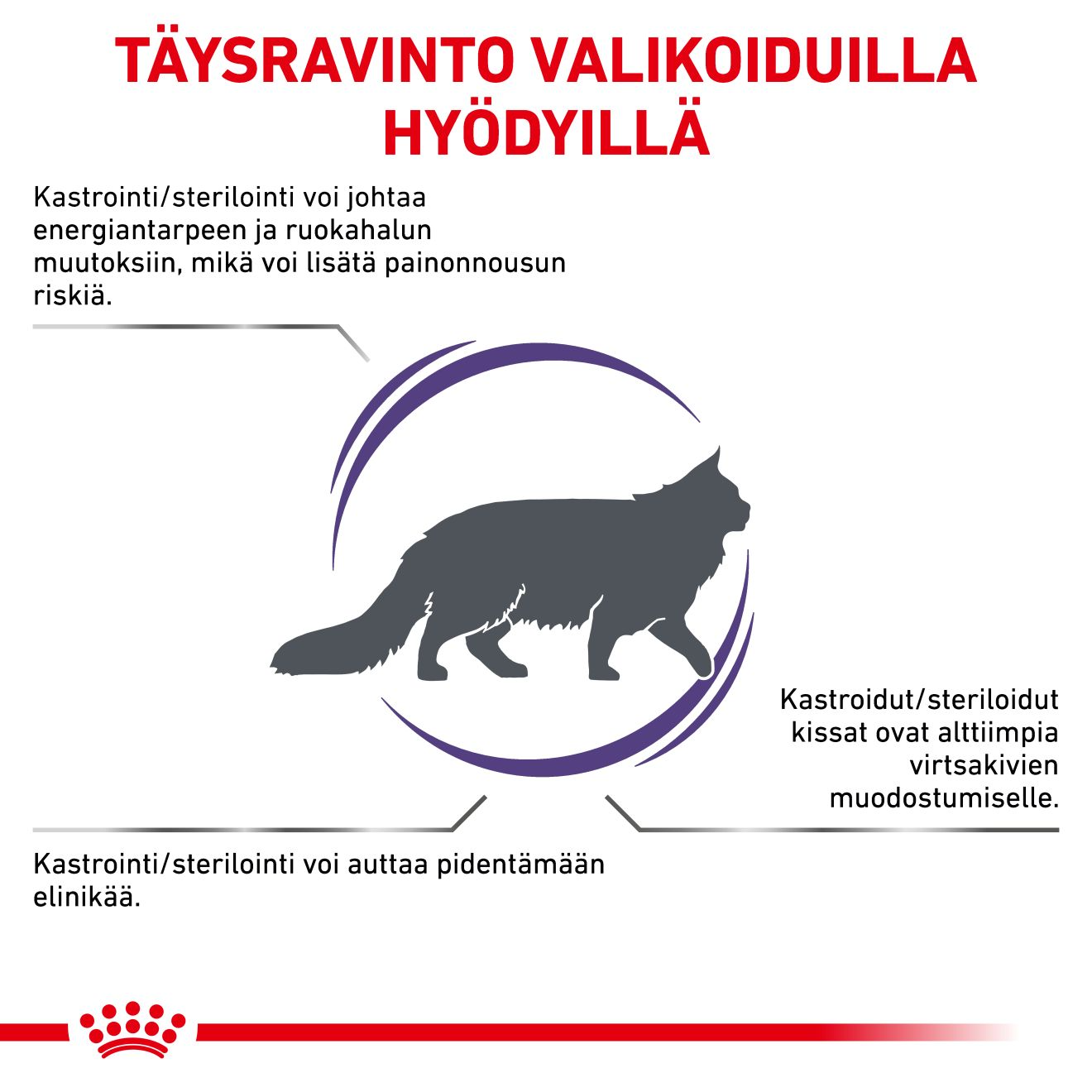 Royal Canin Veterinary Diets Health Management Neutered Satiety Balance kissan kuivaruoka 12 kg