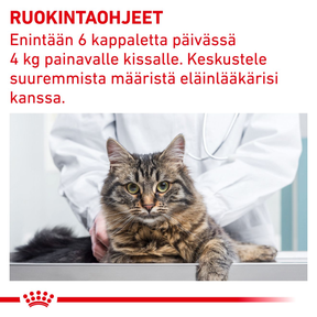 Royal Canin Veterinary Diets Pill Assist kissalle 45 g