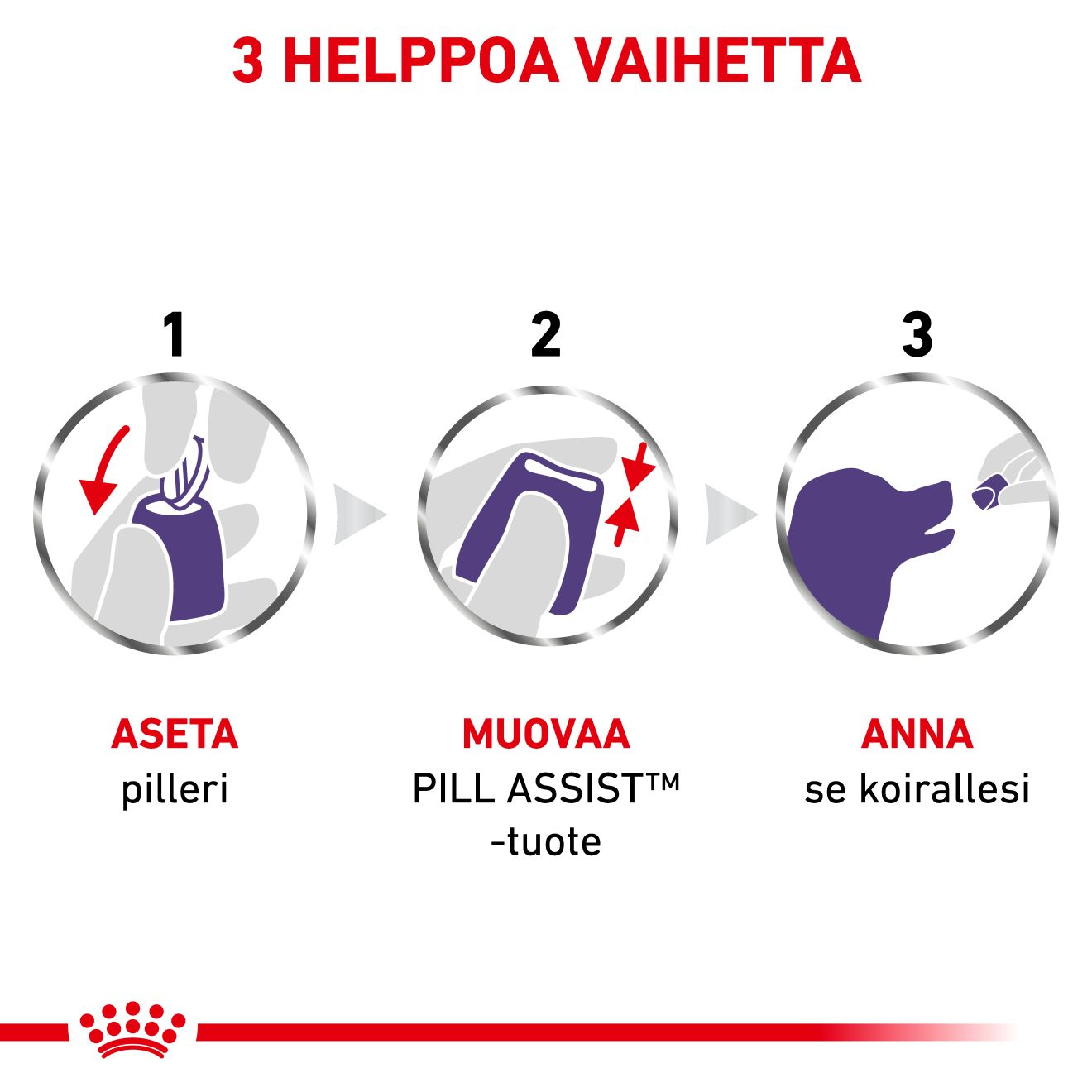 Royal Canin Veterinary Diets Pill Assist Large Dog keskikokoiselle ja isolle koiralle 224 g