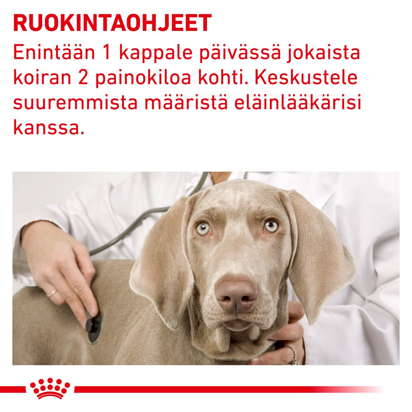 Royal Canin Veterinary Diets Pill Assist Small Dog pienelle koiralle 90 g