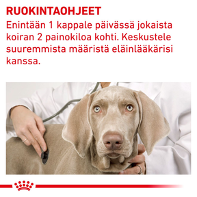 Royal Canin Veterinary Diets Pill Assist Small Dog pienelle koiralle 90 g